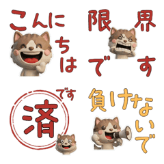 Polite Brown Bicolor Cat 29