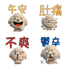 Taiwanese Teacup Poodle 39