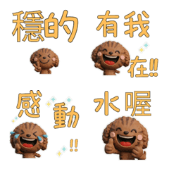 Taiwanese Brown Tabby Poodle 39