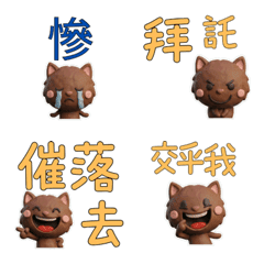 Taiwanese Brown Munchkin 39