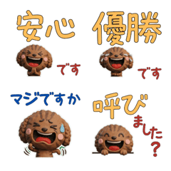 Polite Brown Tabby Poodle 29