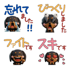 Polite Black & Tan Dachshund 29