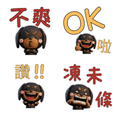 Taiwanese Black & Tan Dachshund 39