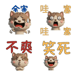 Taiwanese Brown Bicolor Cat 39