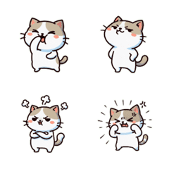 抱っこキジトラ猫ちゃん