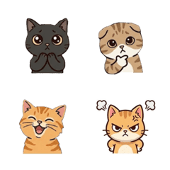 The cutest cat ever