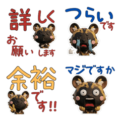 Polite 3D African wild dog  29