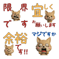 Polite 3D Coyote  29