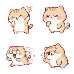 のんびり茶トラ猫