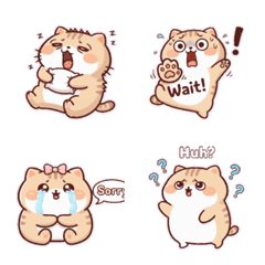 びっくりオレンジ猫