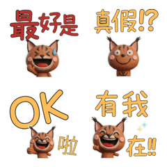 Taiwanese Caracal  39