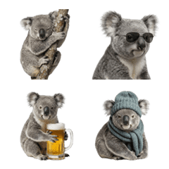 好用無尾熊表情符號（Koala）