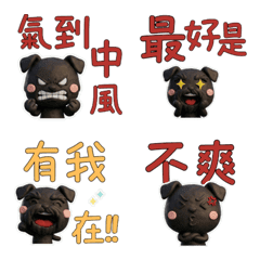 Taiwanese Giant Schnauzer  39