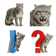 好用雪豹表情符號（Snow Leopard）