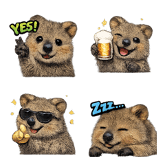 Emoji_Anime-kawaii_Quokka2
