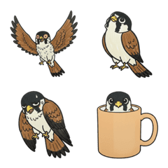 슈르한 송골매 이모지