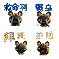 Taiwanese African wild dog  39