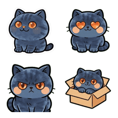 Round British Shorthair Emoji