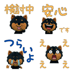 Plush Manchester Terrier  9th