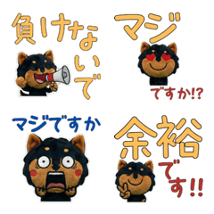 Polite Manchester Terrier  12