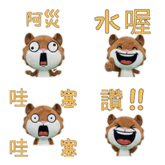 Taiwan Flying squirrel  34