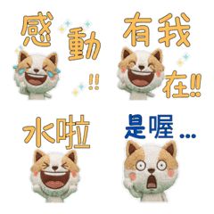 Taiwan Wire Fox Terrier  34