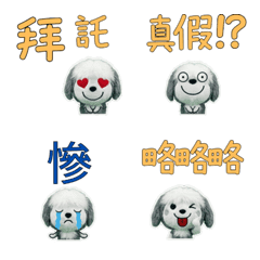 Taiwan Old English Sheepdog  33