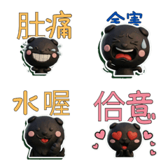 Taiwanese Black Scottish Fold 39