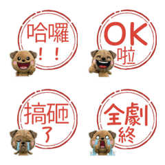 Hanko Border Terrier  110