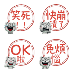 Hanko Snow leopard  110