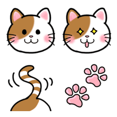 Every day Cat Emoji Nyankiti