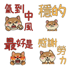 Taiwanese Dormouse  37