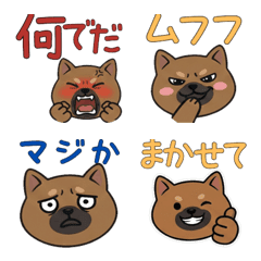 Round Great Dane  21