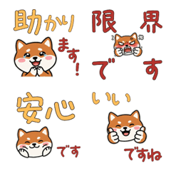 Polite Round Pomechiwa  23