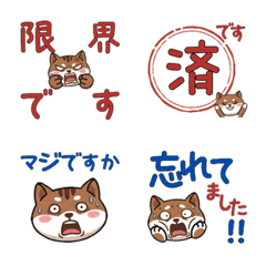 Waving Flying Squirrel  68