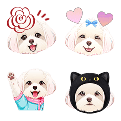 可愛いマルチーズみるくの絵文字