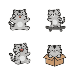 Stripey's Everyday Escapades