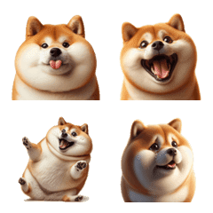 3D fat shiba dog daily