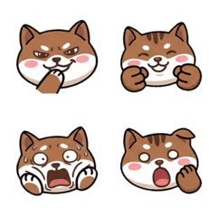 Waving Flying Squirrel  66