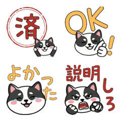 Round Mini Bull Terrier  22