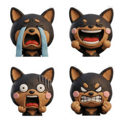 Moving Black & Tan Chihuahua 26