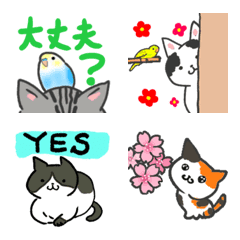 Cats Pugs And Budgies