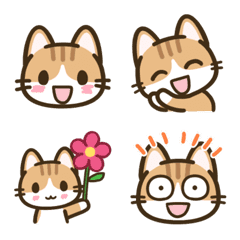 Every day NECOLE - Emoji 4 : Chashiro
