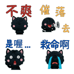 Taiwan Black panther  33