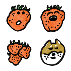 Ripifarmいちごとトッコ