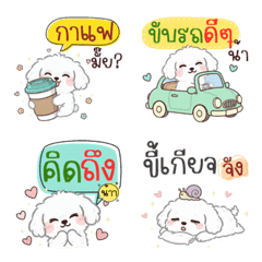 Naughty Maltese: Daily Life