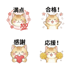 Fluffy Cat Teacher