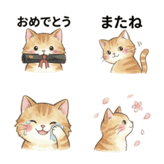 Fluffy Cat: New Beginnings
