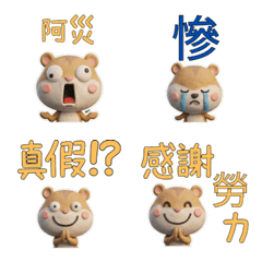 Moving TW Roborovski Hamster 40