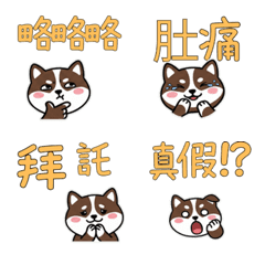 Taiwanese Pointer  37